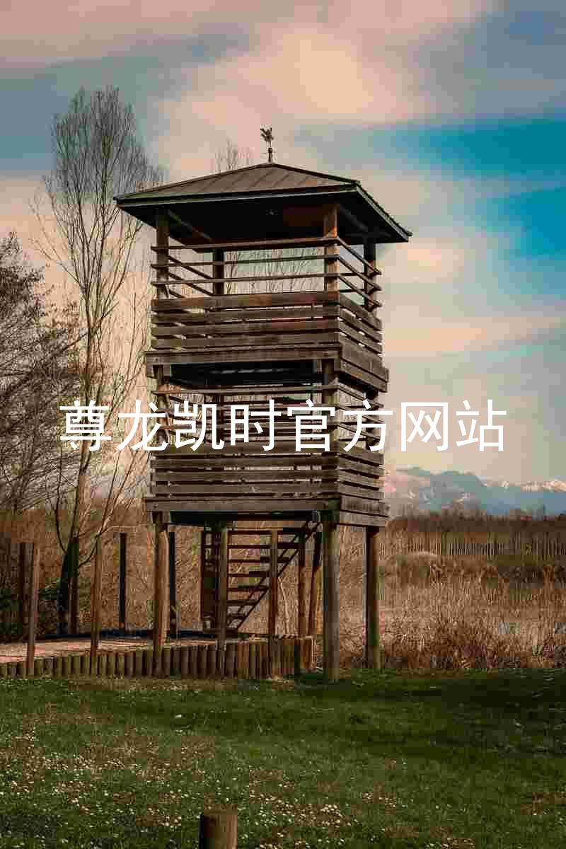 尊龙凯时官方网站